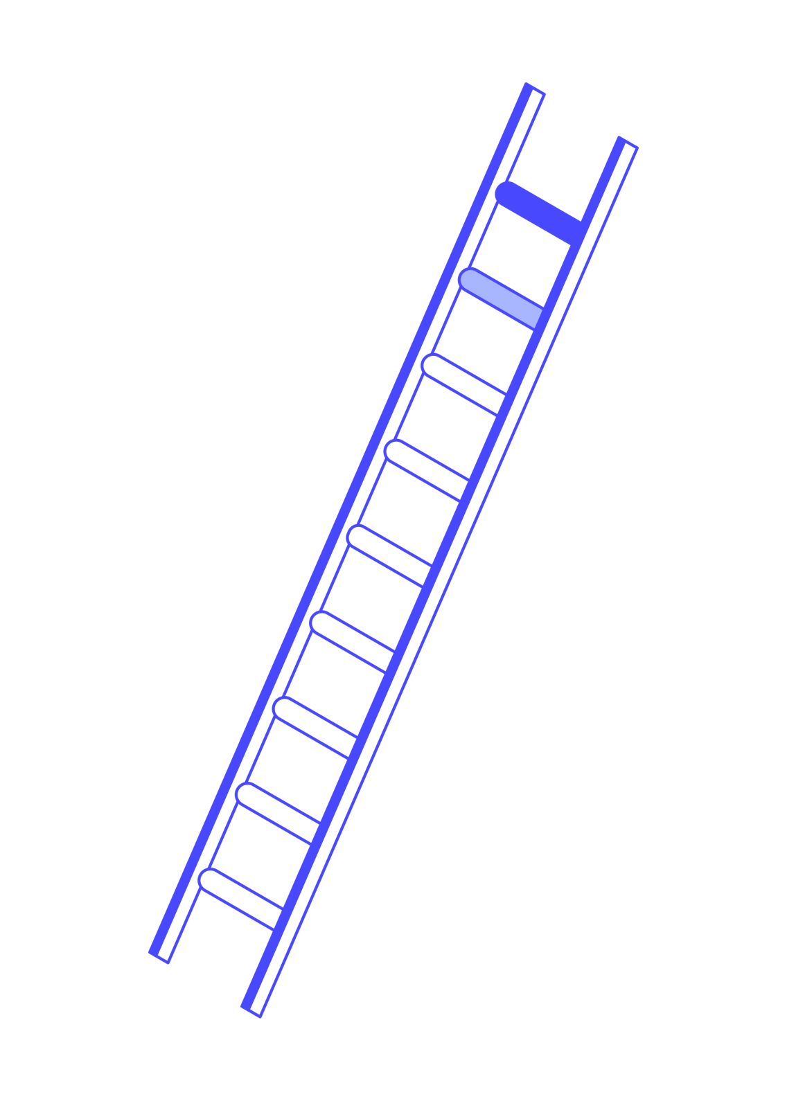 One of the brand's many new graphics, this one is a ladder.