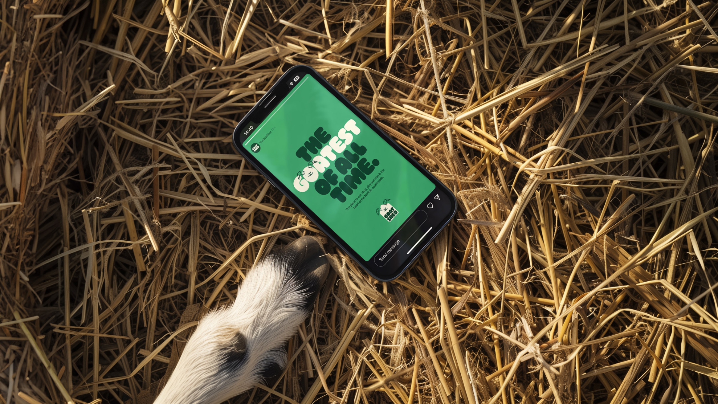 Goat shed on a phone