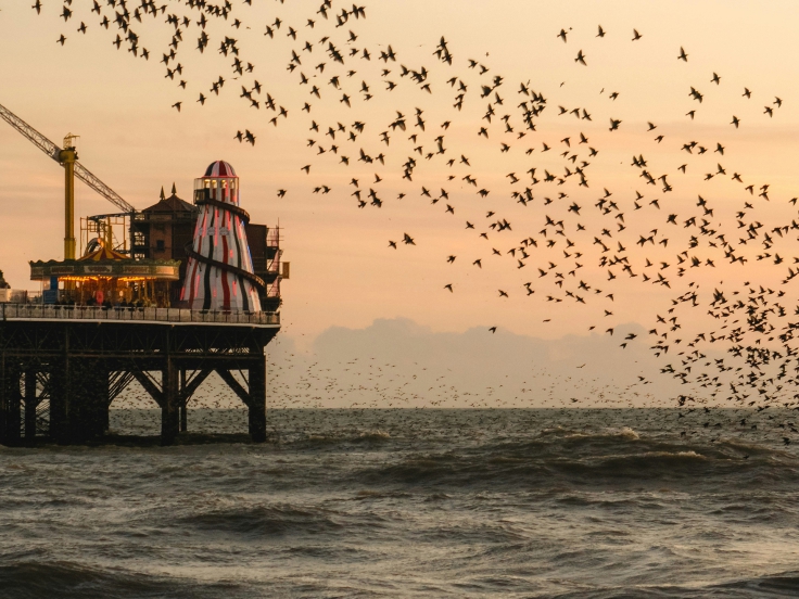 UnitedUs - Brand agency and business consultancy delivering catalytic creativity and confidence that works in the wild.