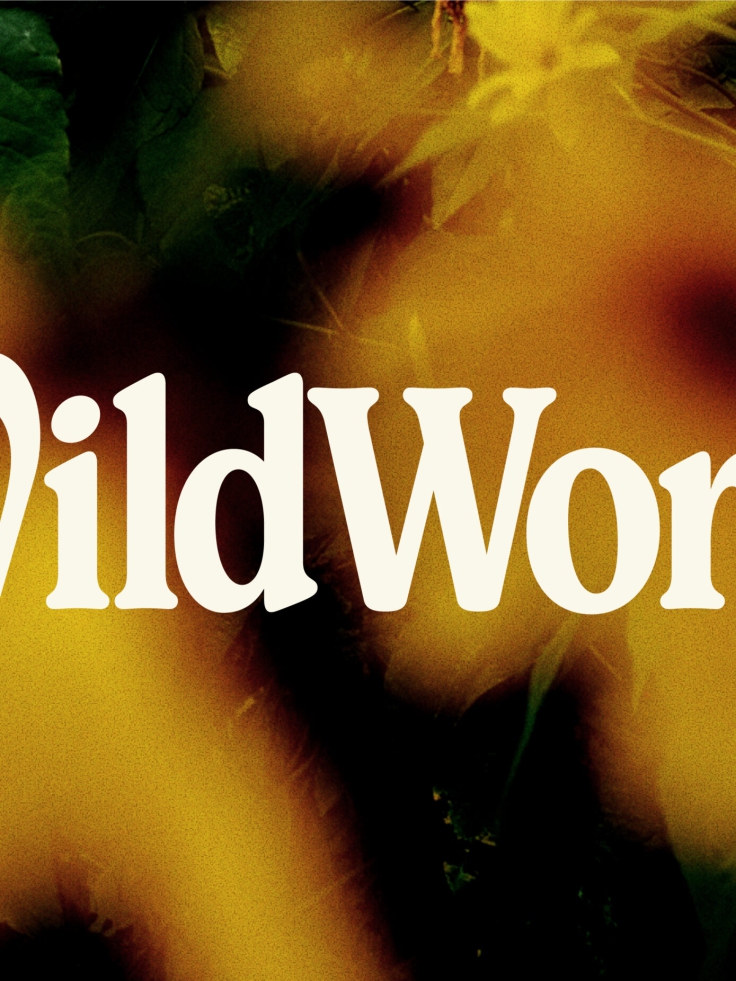 UnitedUs - Brand agency and business consultancy delivering catalytic creativity and confidence that works in the wild.