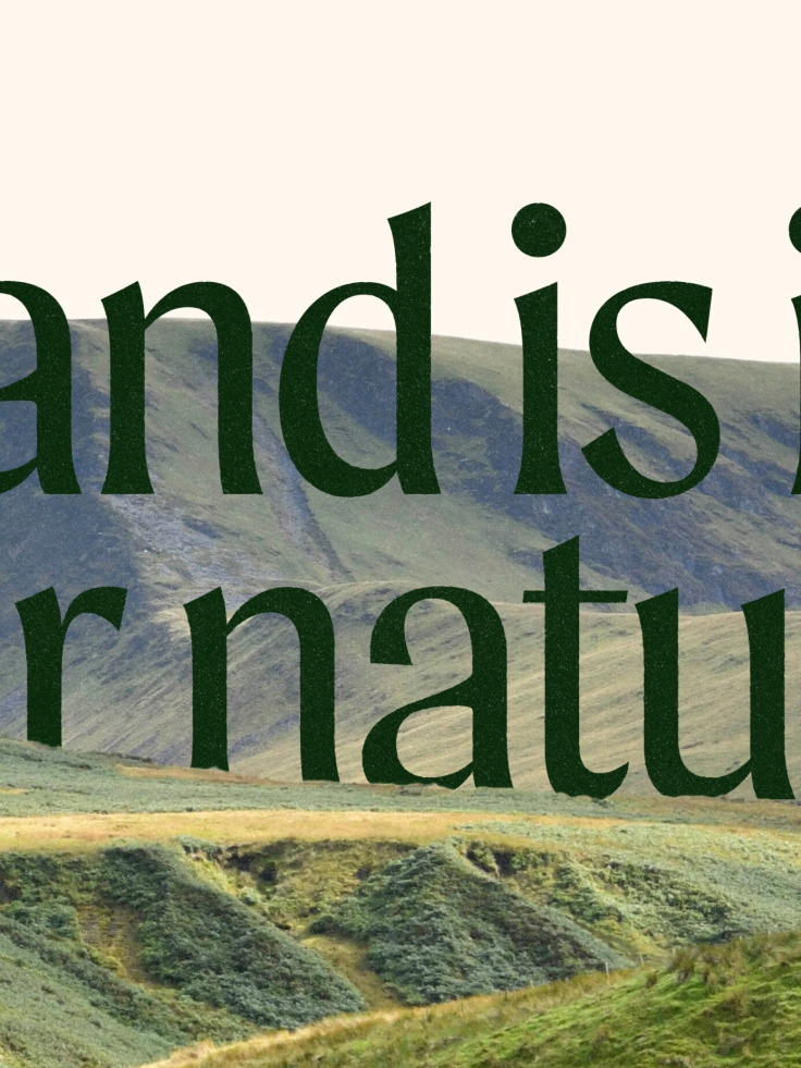 UnitedUs - Brand agency and business consultancy delivering catalytic creativity and confidence that works in the wild.