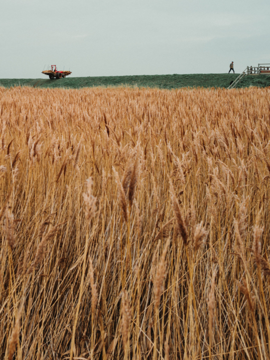 UnitedUs - Brand agency and business consultancy delivering catalytic creativity and confidence that works in the wild.